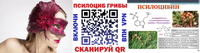 omg маркетплейс  Бокситогорск  маркетплейс какой сайт  где продают   Галлюциногенные грибы мухоморы 